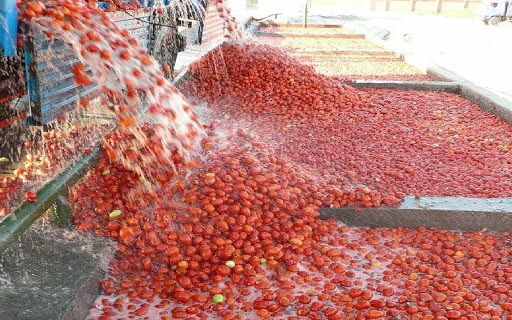 番茄酱生产线在生产过程中的关键点