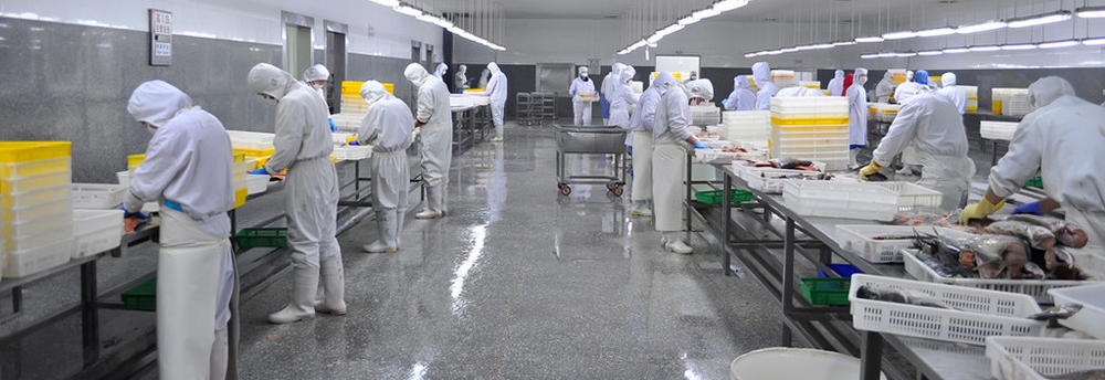 隆升水产品加工厂车间