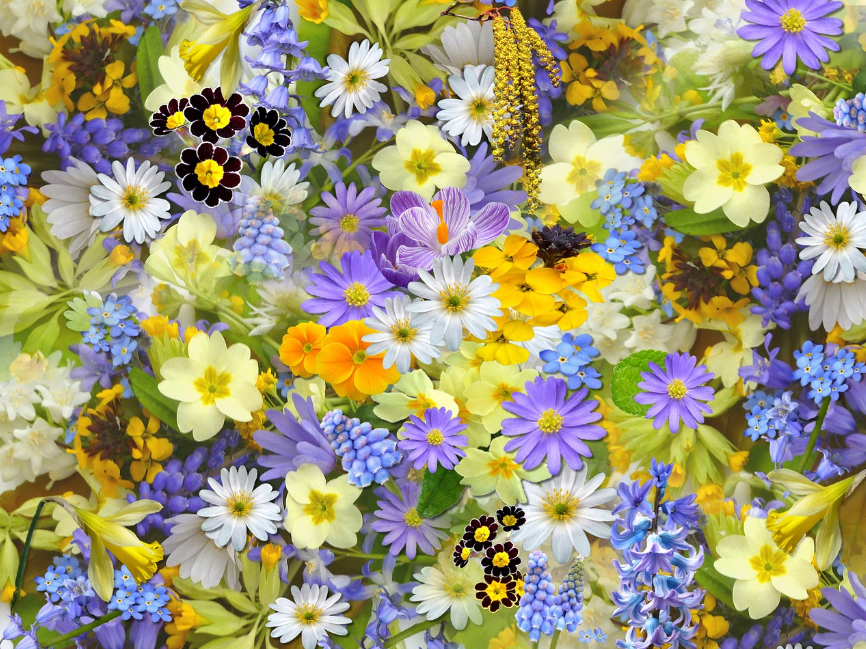 农药的环境污染