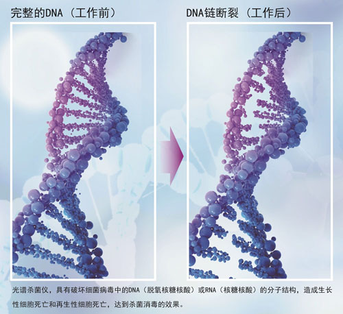 DNA断裂 - 副本.jpg DNA断裂 - 副本.jpg