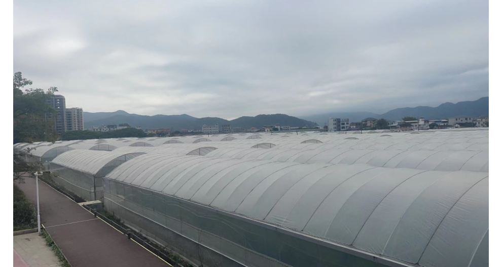 河南物联网智能温室大棚设计 服务为先 广东三合重农科技供应;