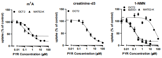乙胺对OCT2、MATE1和MATE2-K的影响