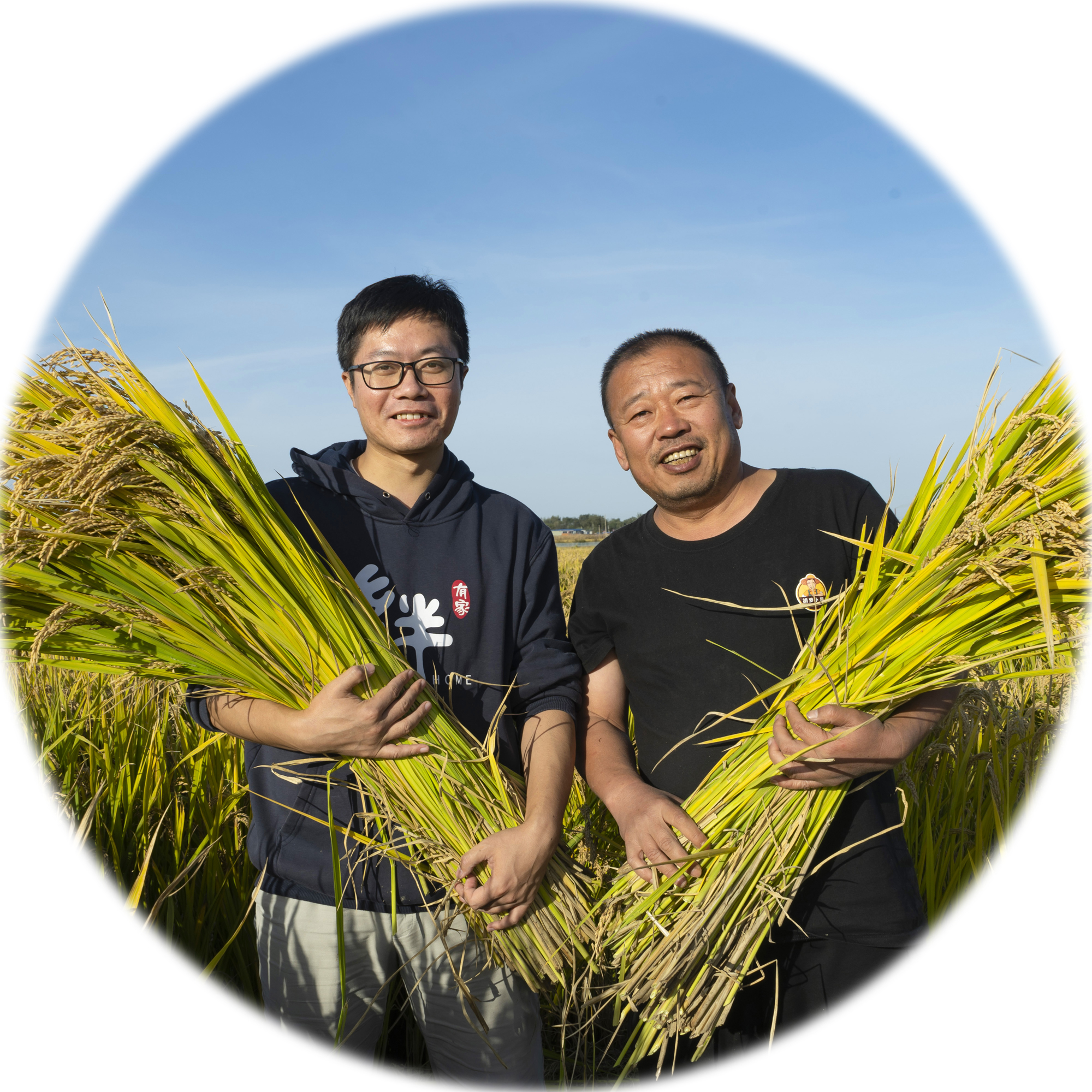 香港五点来料资料