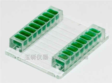 微流體生物芯片