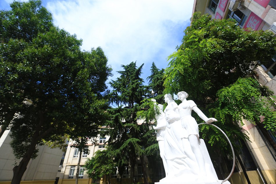 2020062408143122216.jpg 2020062408143122216.jpg