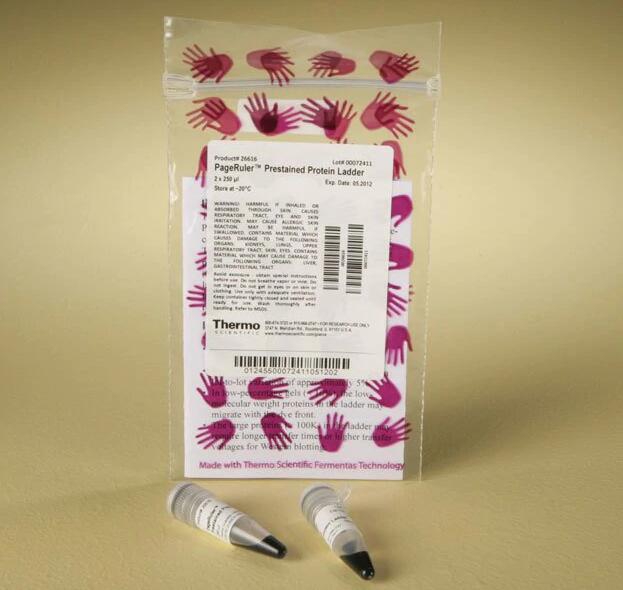 thermo 26616 pageruler prestained protein ladder, 10 to 180