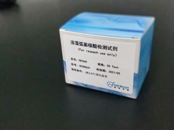 溶藻弧菌核酸检测试剂盒