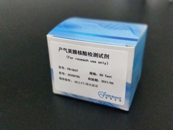 产气荚膜梭菌核酸检测试剂盒