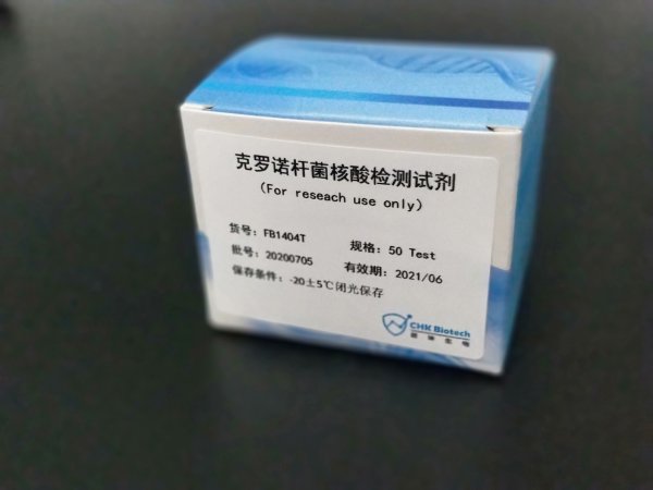 克罗诺杆菌核酸检测试剂盒