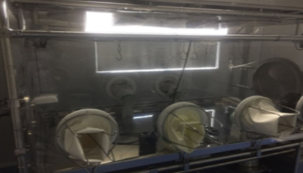 隔離器除菌循環開發及驗證