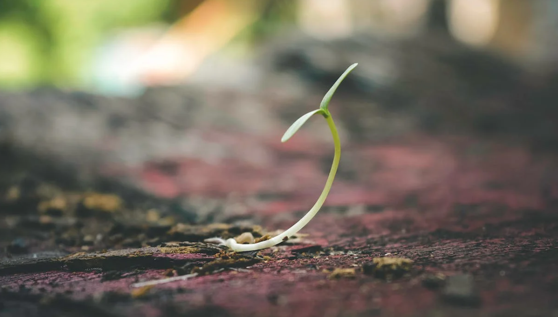 循环冷却水系统