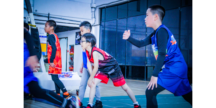 杭州学篮球培训 真诚推荐 杭州赛喜多体育供应