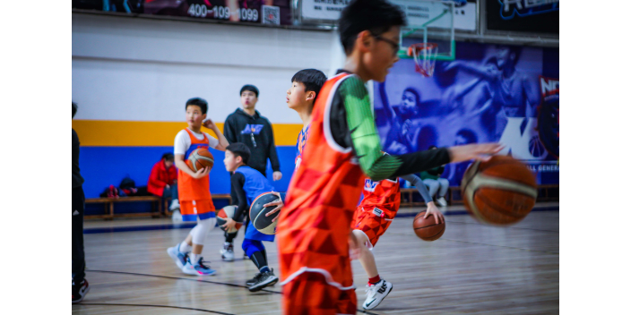 上城区双语篮球培训机构 服务至上 杭州赛喜多体育供应;