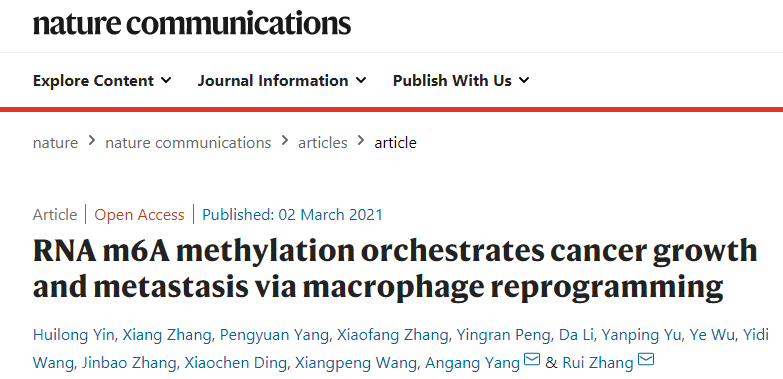 ”RNA m6A methylation orchestrates cancer growth and metastasis via macrophage reprogramming”