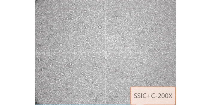 SSIC无压烧结碳化硅密封环种类 上海德宝密封件供应