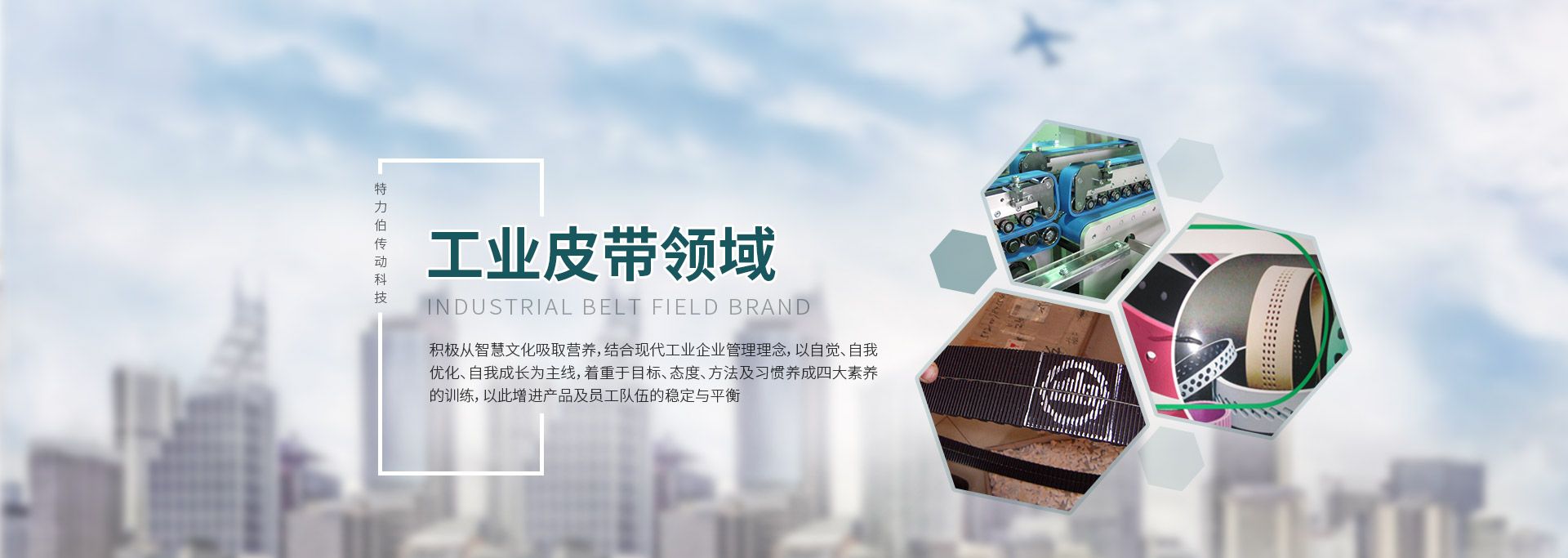 蘇州特力伯傳動科技有限公司