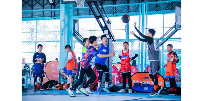 浙江专业篮球培训机构