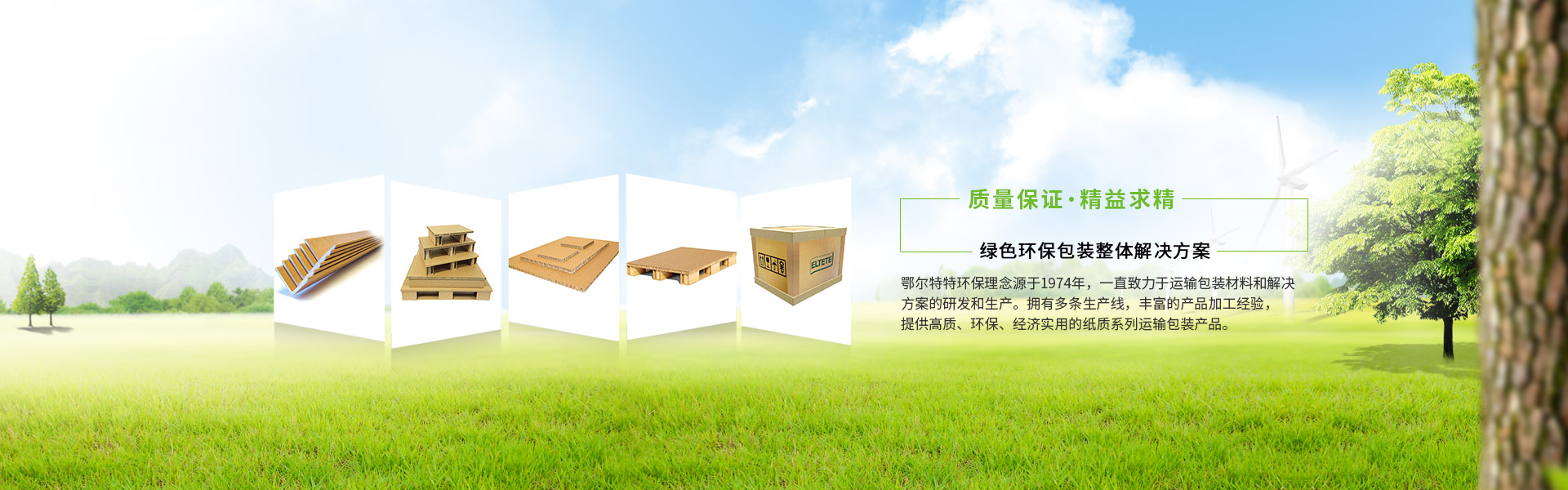 绿色环保包装整体解决方案