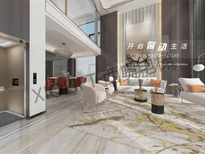 二层室内家用电梯安装 杭州西权电梯科技供应;