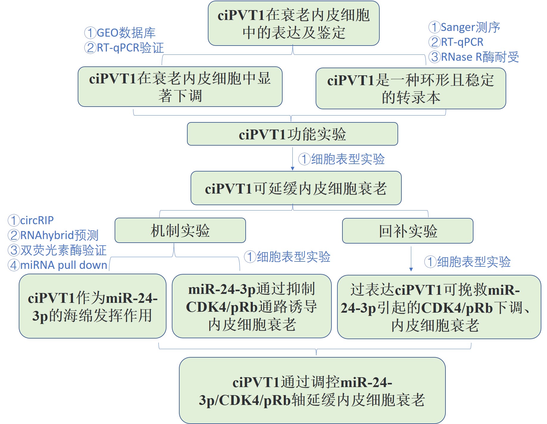 研究思路