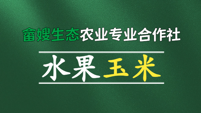 福建健康水果玉米哪家性价比高,水果玉米