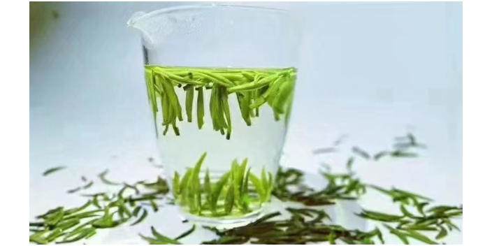 天津滇青,绿茶