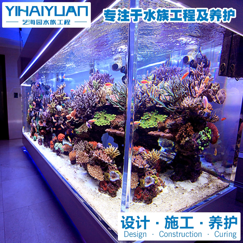 海水魚缸 (1).jpg