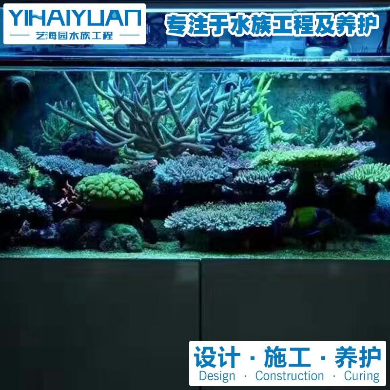 海水鱼缸 (7).jpg