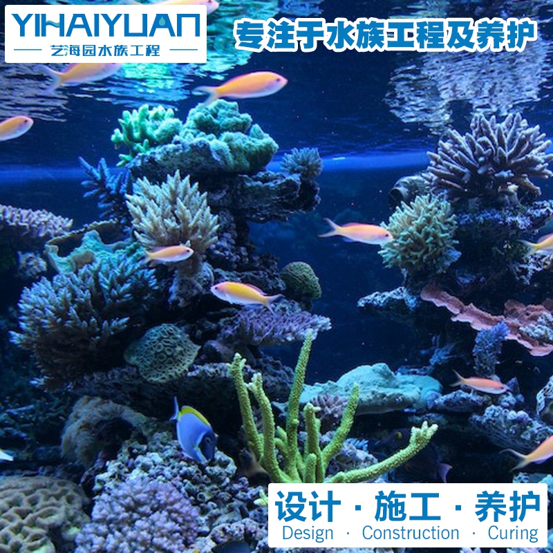 珊瑚魚缸 (5).jpg