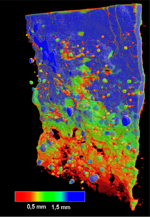 布鲁克三维X射线显微镜(3D XRM)在钢纤维混凝土三维结构分析中的应用介绍_束蕴仪器(上海)有限公司