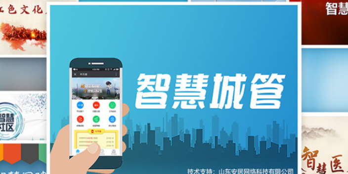 安徽智慧城管app开发,智慧城管