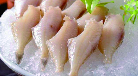 耗兒魚
