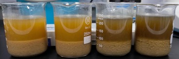 餐厨废水-6-试验2沉淀久后照片对比.jpg