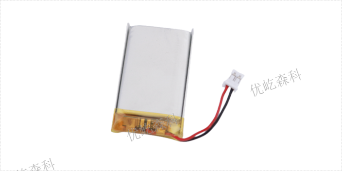三明低温聚合物锂电池排行