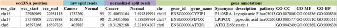 eccDNA表达注释 （例子）