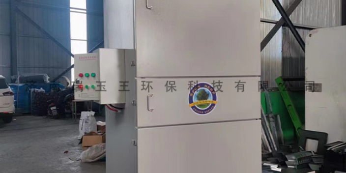 广东脉冲净化器非标设计 济南瑞玉王环保科技供应