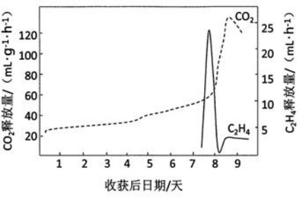 呼吸躍變.png 煙臺(tái)睿加節(jié)能科技有限公司 果蔬保鮮 貯藏保鮮