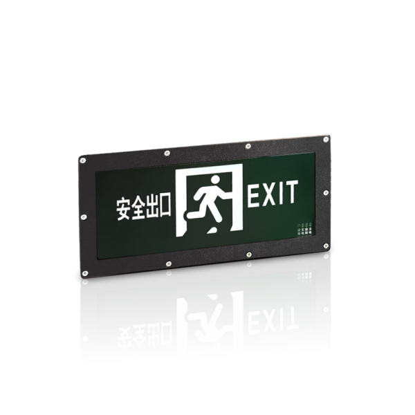 自带电源非集中控制型-ZX0722 450双面三防标志灯
