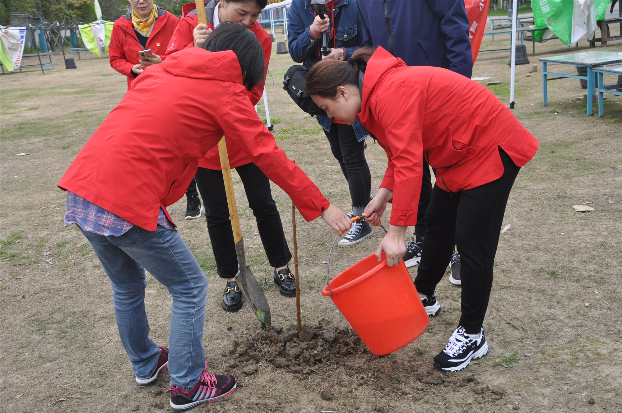 植绿护绿,党员在行动