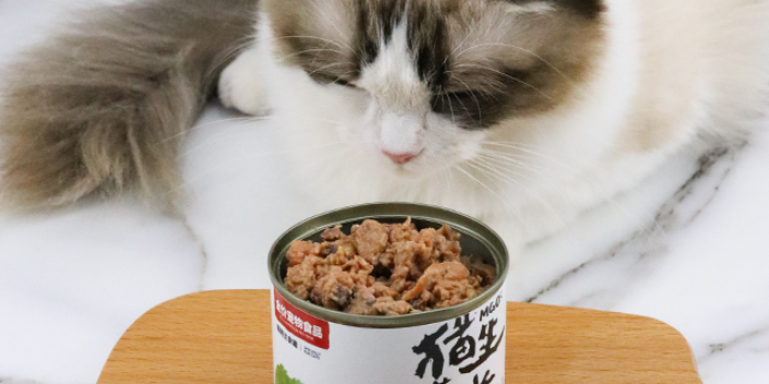 临安区新鲜猫粮发展 猫生罐养猫罐头供应