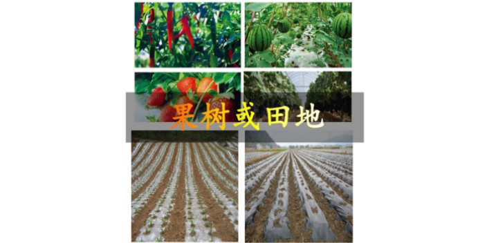 佛山防潮地膜廠家電話  廣東長(zhǎng)腿牛薄膜科技供應(yīng)