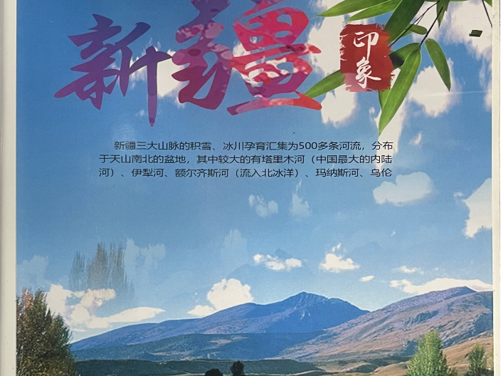 楊高北路新疆老酸奶