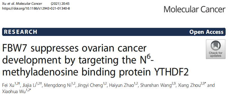 FBW7 suppresses ovarian cancer development by targeting the N 6-methyladenosine binding protein YTHDF2