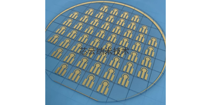 上海叉指电极定制 芯云纳米技术供应
