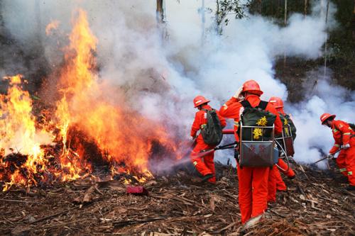 安星森林防火預(yù)警系統(tǒng)在延安寶塔山景區(qū)中的應(yīng)用