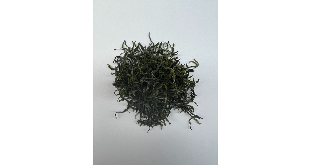 北京袋装绿茶一般价格