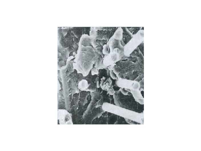 上海鈦酸鉀TISMO（鈦斯毛）哪家好 大冢化學供應