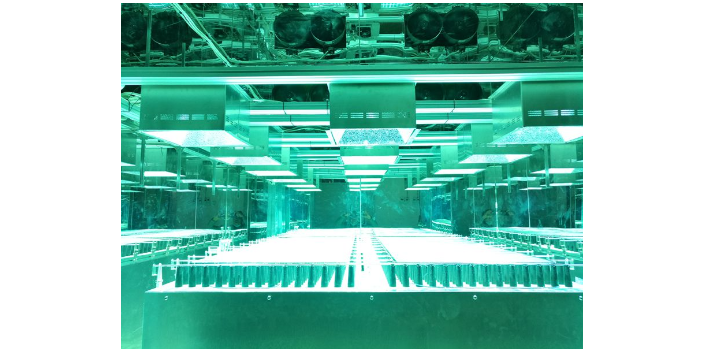 上海BBB太陽光模擬光源 上海市卡精智能科技供應;