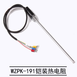 WZPK-191鎧裝熱電阻