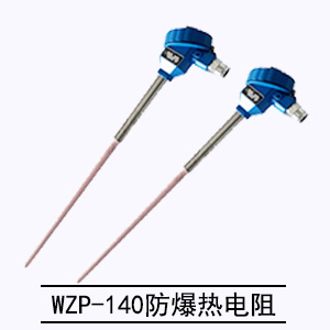 WZP-140防爆熱電阻